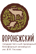 Воронежский государственный природный биосферный заповедник им. В.М. Пескова Воронежский государственный природный биосферный заповедник им. В.М. Пескова